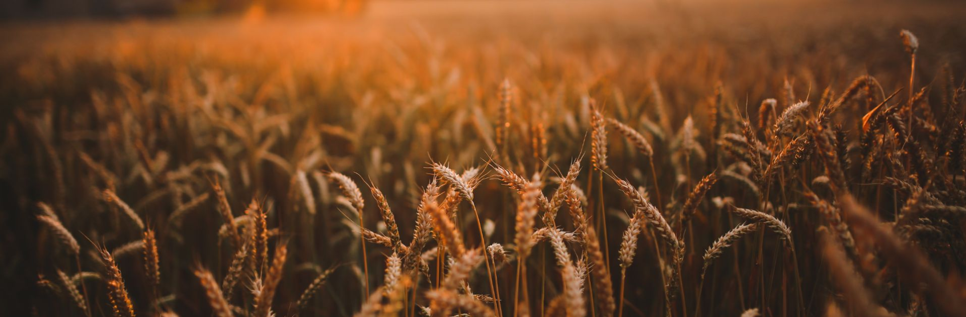 JUNGE UNION HILDESHEIM